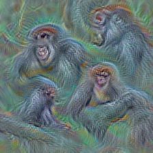 n02481823 chimpanzee, chimp, Pan troglodytes